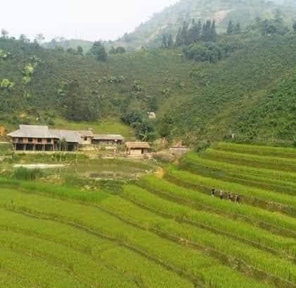 Bản Liền Pine Homestay