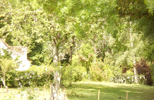 B&B La Ferme Des Bordes