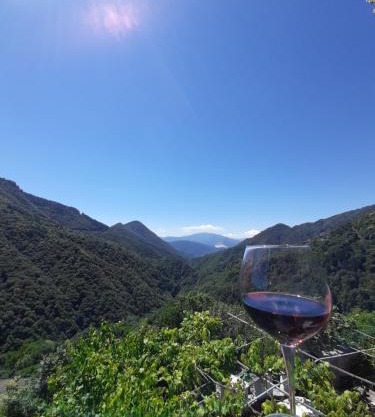 B&B La Locanda del Cinghiale