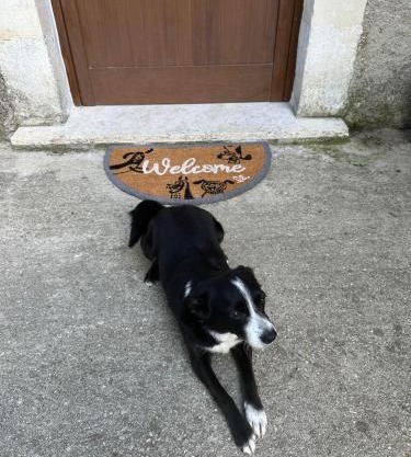B&B La Majella Me