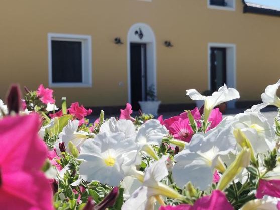 B&B Riva del Gallo