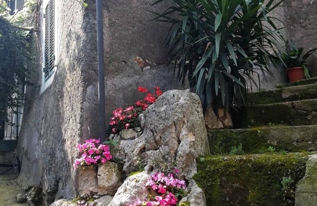 B&B Rupe Antica
