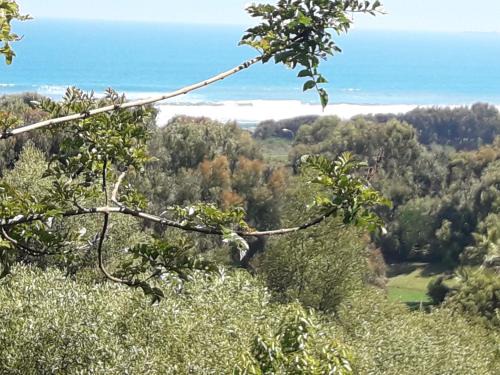 B&B Santo Domingo Chile ENGLISH SPOKEN Gran Departamento compartido frente al mar PARQUE TRICAO bird sanctuary 14kms 9miles away DESAYUNO ESTACIONAMIENTO Y WIFI GRATIS Free parking wifi and breakfast