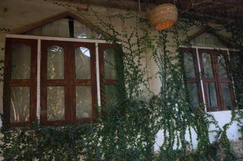 Backpackers eco village