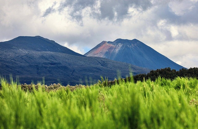 Balcony suite highlight beach-vista landscape
