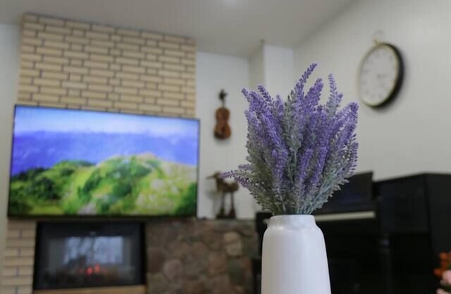 Banff 70 min| 5 min UofC, DT, Shops, Dining| Patio