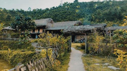 BanLien Forest Lao Cai