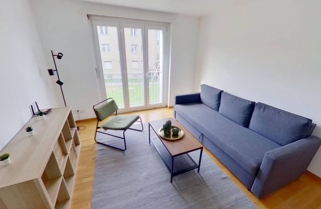 Basic 2-Bed Flat with Sofa Bed in Zurich
