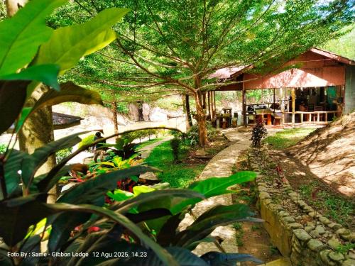Batu Katak - Gibbon Guesthouse