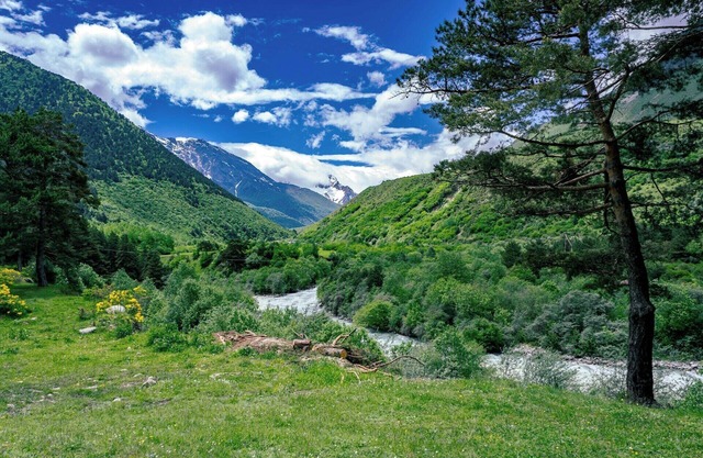 Beach, Boardwalk and Beyond; Discover California