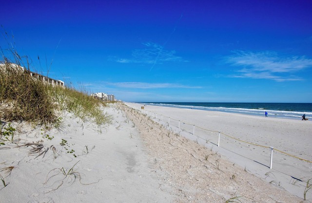 Beach Cottage II, near the beach, TPC Sawgrass, Mayo Clinic & Ponte Vedra Beach