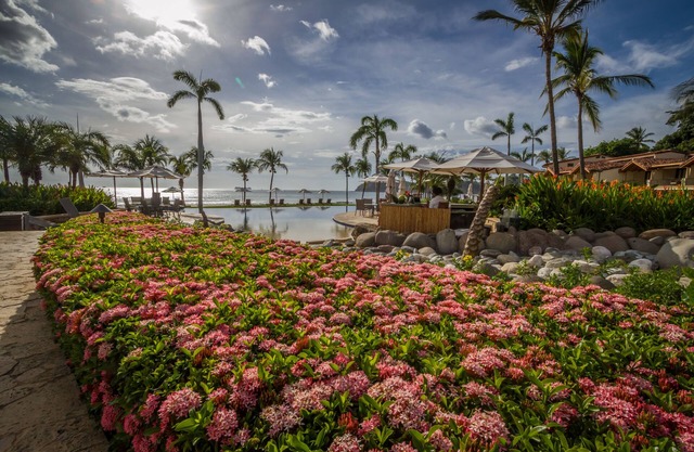Beach front property, White sand beaches, Beautiful Playa Flamingo