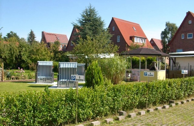 Beach house, beach thistle