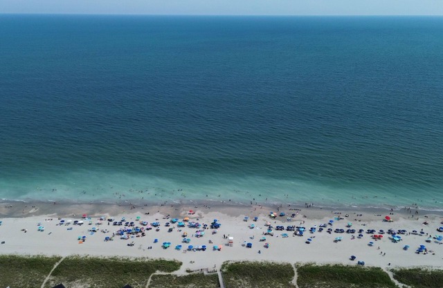 Beach Love large 1BR Suite, Saltwater Pool, pets ok, walk to beach, Parking