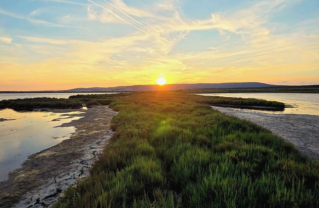 Beach studio with parking