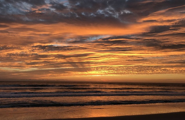 Beach Tranquility, Beautiful Cocoa Beach Oceanview 2/2
