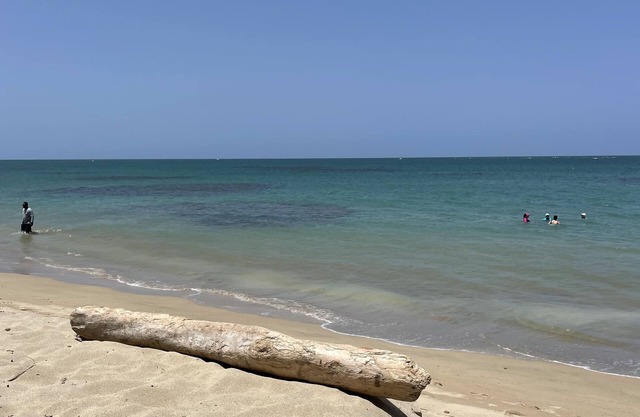 Beachfront Gem - A Tropical Hidden Gem with Mesmerizing Ocean View