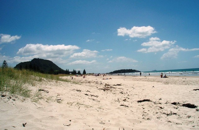 Beachfront Holiday Haven