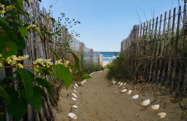 Beachfront House - Can't get any closer to the beach than this home!