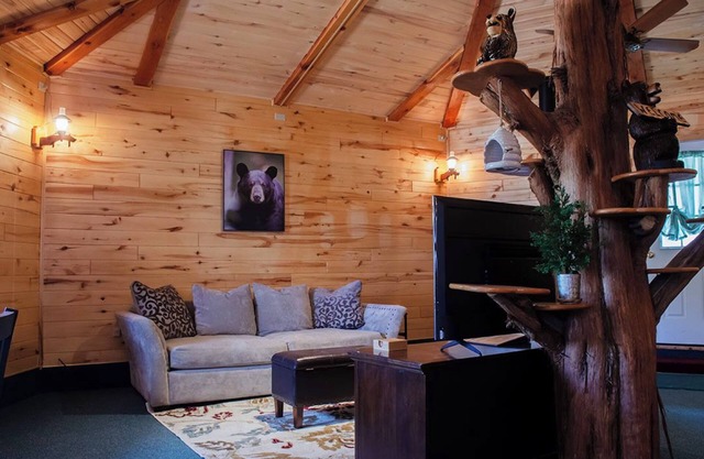 Bear Necessities Cabin, Mesa Verde Getaway