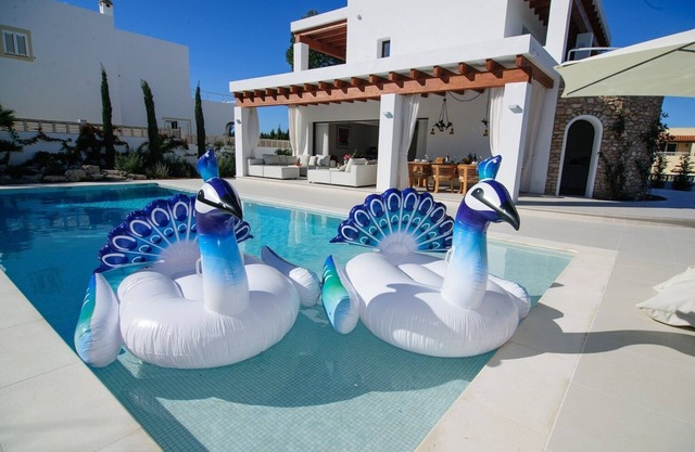 Beautiful spacious modern villa with a large private saltwater swimming pool