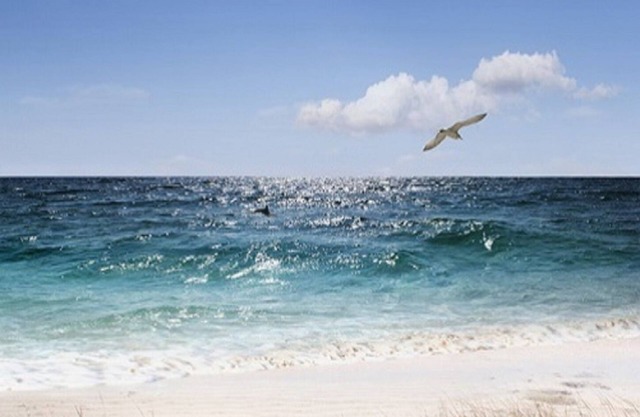 BEAUTIFULLY DESIGNED CONDO, JUST ONE MILE TO BEACH! CLOSE TO EVERYTHING YOU NEED