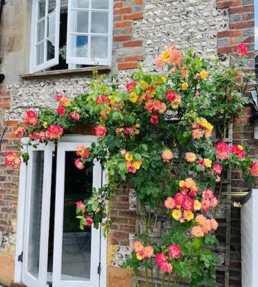 Beautiful 18th century cottage in Arundel