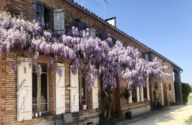 Beautiful 6 Bedroom Farm House in Tarn et Garonne