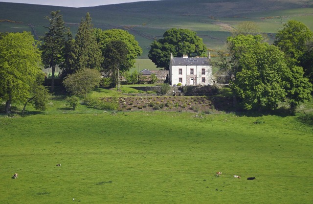 Beautiful 8-Bed House in Angus