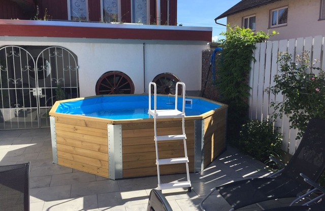 Beautiful apartment with sun terrace, small pool-20min to Europapark -