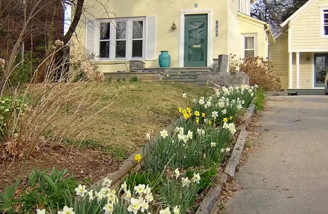 Beautiful apt. in Historic Takoma