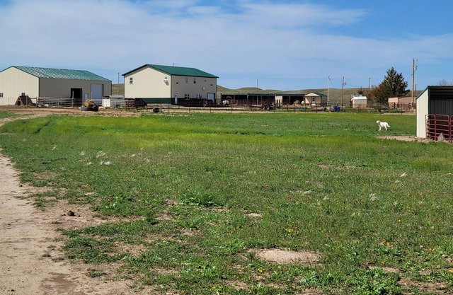 Beautiful barndiminiom Ranch Double Queen- Experiences and Activities available