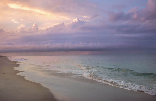 Beautiful Budget Oasis & Pup-Friendly Oceanside Retreat! Walk-In Shower & More!