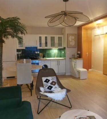 Beautiful cocooning apartment