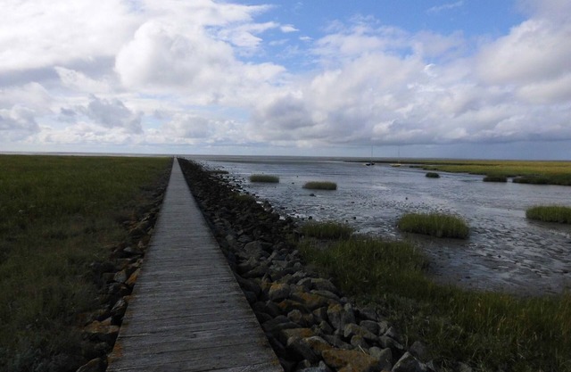 Beautiful non-smoking vacation apartment on the dike for up to 3 people