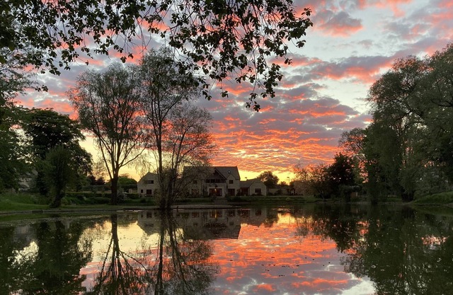 Beautiful View Of Lake