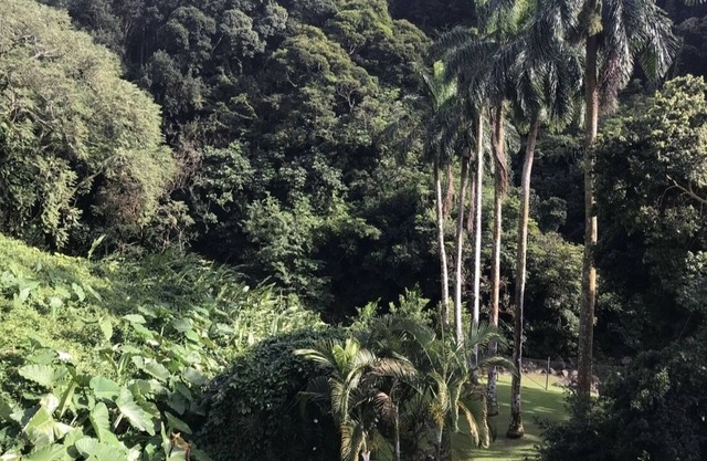 Beautiful home in the rainforest near Honolulu