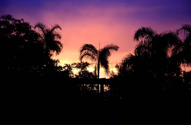 Beautiful hostel on Rosa's beach. Near the lagoon, market and the best parties!