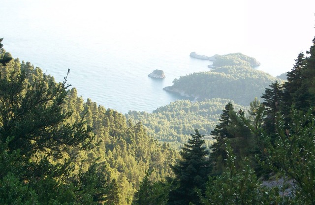 beautiful house inside forrest with sea view. Paradise