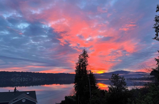 Beautiful Lakeview house, centrally located