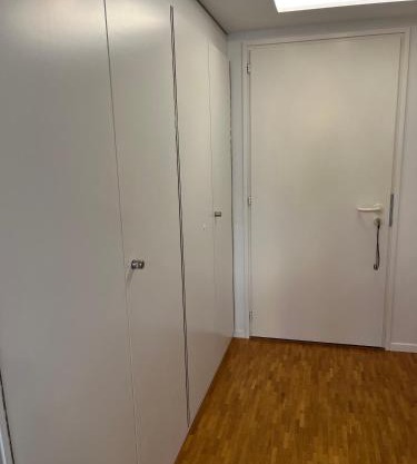 Beautiful new studio, Geneva city centre
