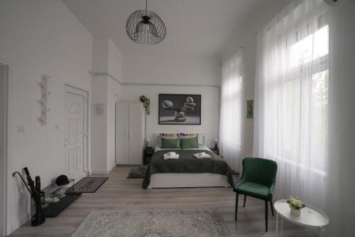 Beautiful newly refurbished studio,fully equipped apartment walking distance to the City Park where you will find the world famous Szechenyi thermal bath spa, Museums , and the Capital Circus , AC, smart TV, high speed internet