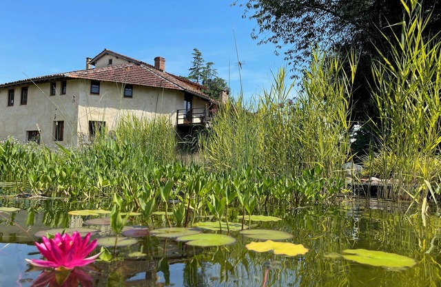 Beautiful old watermill with natural swimming pool. Only 50 minutes to Toulouse