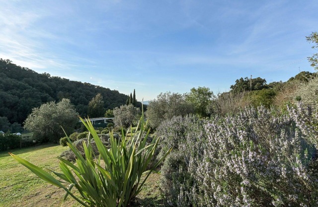 Beautiful private villa for 7 guests with WIFI, private pool, patio, pets allowed and panoramic .