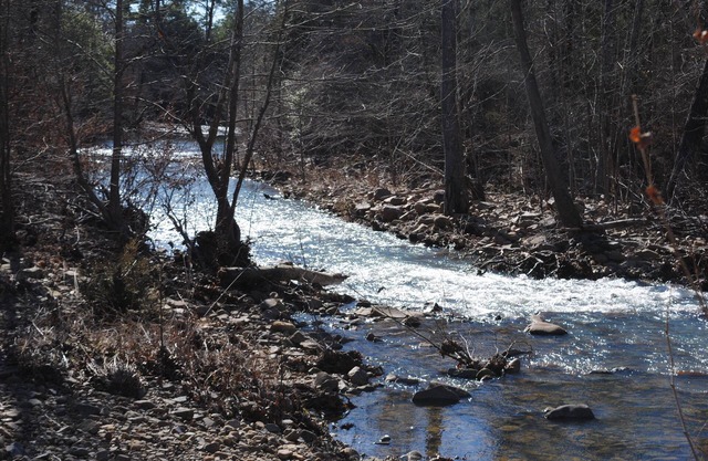 Beautiful secluded cottage with gated privacy.