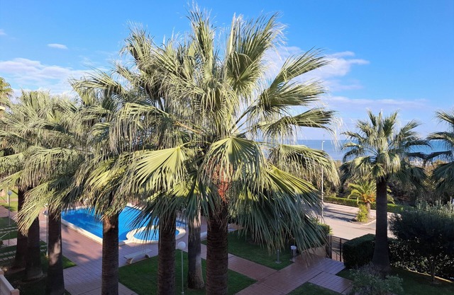 Beautiful Stella apartment in 1st line on the sea with swimming pool, palm tree