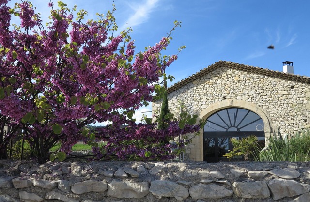 Beautiful stone mas swimming pool south of France air conditioned with large shaded terrace