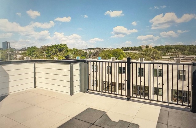 Beautiful townhome with a rooftop deck with river views in South Knoxville