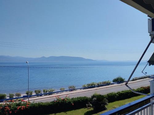 Beautiful View