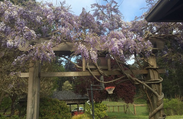 Beautiful Villa Bordering Russian Gulch SP, 2 Mi from Village of Mendocino